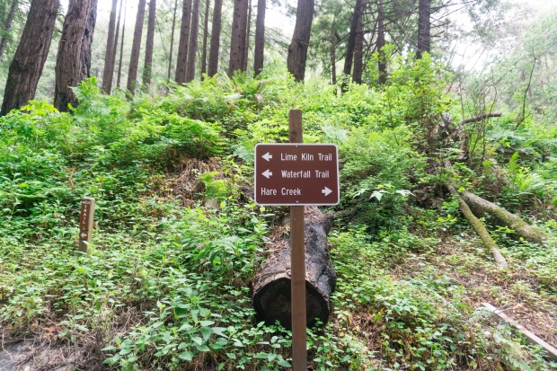 Limekiln State Park hiking signs